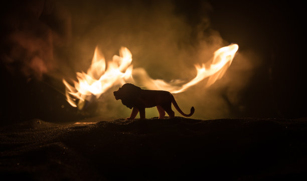 一个微型狮子的剪影站在木桌上。创意装饰与彩色背光与雾。有选择性的重点图片下载