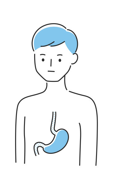 一个年轻人的画像。胃的内脏说明。图片下载