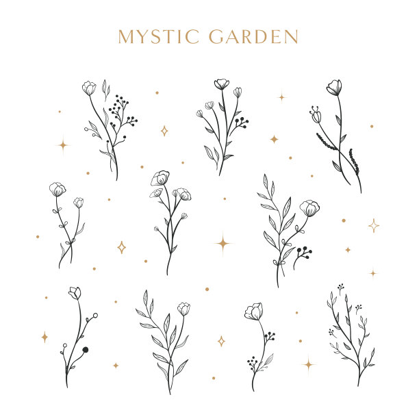 花集孤花素描图片下载