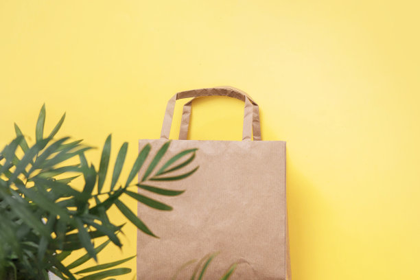 空的再生纸购物袋与处理和绿色的树枝棕榈叶在黄色的背景。“零浪费,环保。工艺包。平铺，俯视图，拷贝空间图片下载