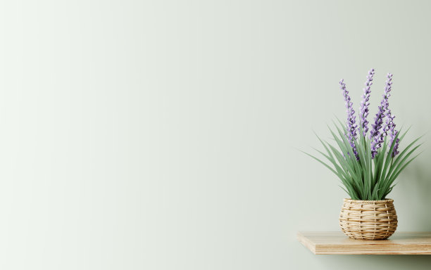 客厅室内设计采用木架。编织篮花盆花墙装饰。绿色墙，复制空间。现代家庭背景。三维渲染图片下载