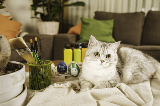 带复活节彩蛋的猫图片下载