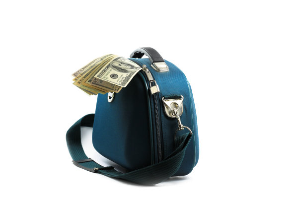 在白色的背景下，美元在小手提包作为财富的象征图片下载