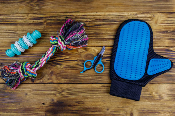 木制背景上的狗的玩具和配件。前视图。宠物护理的概念图片下载