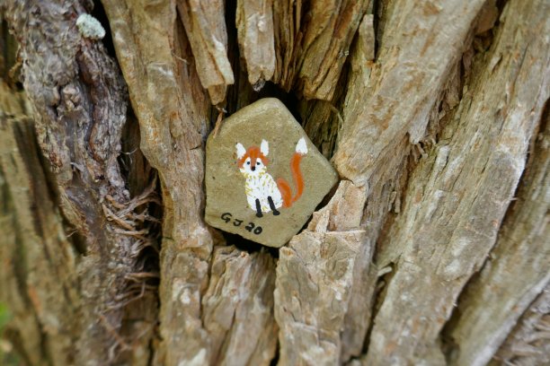 善良的石头藏在树皮里用可爱的小狐狸画图片下载