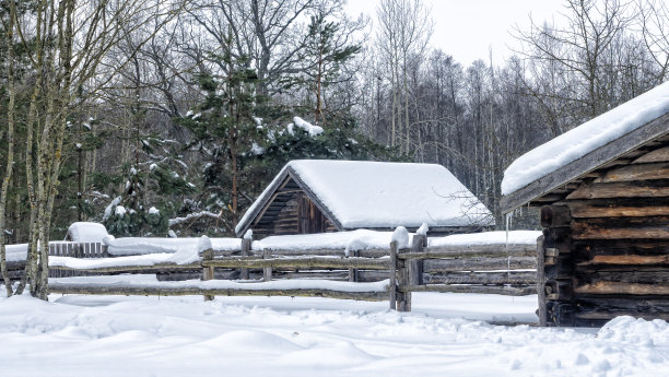 冬天的雪覆盖了村庄的房屋、篱笆和树木。在美丽的冬天，美丽的老村庄房子有很多白雪和树木。农村的概念。图片下载