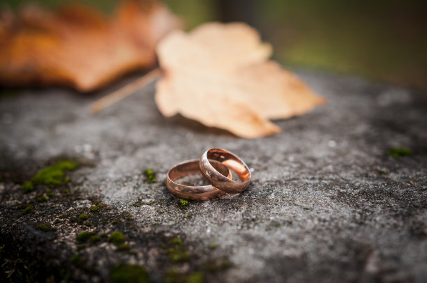 石头上的金婚戒。黄色的叶子。秋天图片下载