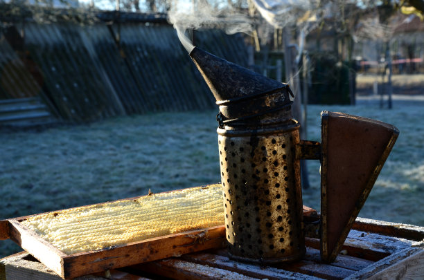 养蜂人检查蜂房里蜂蜡的质量。使用冒烟的金属容器，通过燃烧悲伤的木头产生浓烟。手印在蜂蜡蜂巢里闪闪发光图片下载