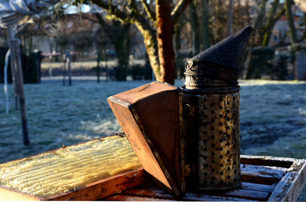 养蜂人检查蜂房里蜂蜡的质量。使用冒烟的金属容器，通过燃烧悲伤的木头产生浓烟。手印在蜂蜡蜂巢里闪闪发光图片下载