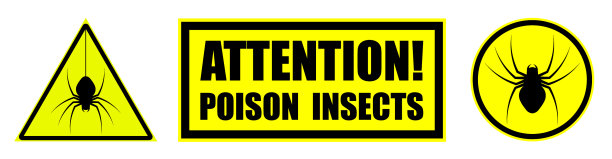 攻击有毒的昆虫蜘蛛设黄色图片下载