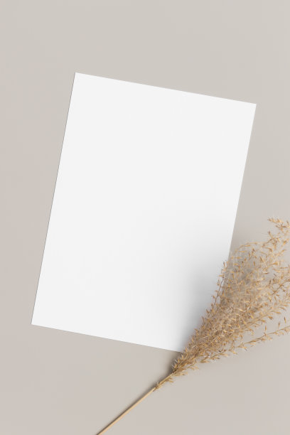 白色请柬模型与干草装饰在米色的桌子上。5x7的比例，类似于A6, A5。图片下载