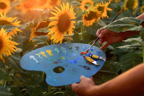 艺术家在向日葵地里作画。调色板上的颜料和画笔，艺术家的手和沐浴在阳光下的向日葵图片下载