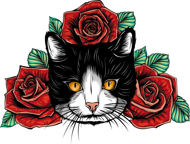 彩色猫玫瑰设计艺术图片下载