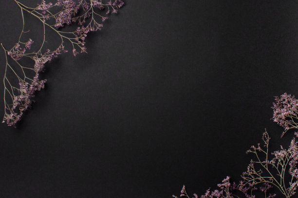 花框架上的黑色背景与复制空间图片下载