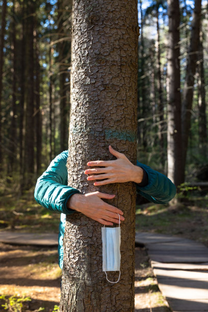 双手拥抱一棵树，摘下医用防护口罩，戴在手指上，在新冠肺炎疫情后的森林里享受生活，呼吸清新的空气图片下载
