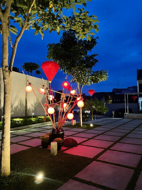 圣诞树装饰中国新年图片下载