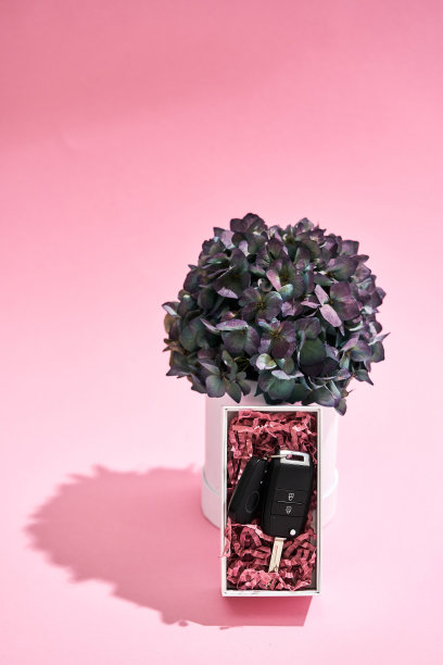 快乐的女子。垂直拍摄的汽车钥匙在礼物盒和鲜花在花盆上的粉色背景图片下载
