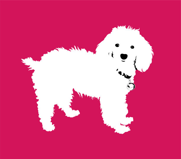 波普艺术风格矢量插图的贵宾狗图片下载