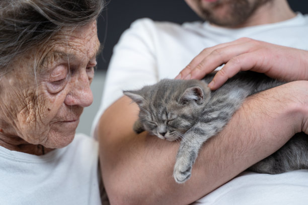 快乐的老年妇女拥抱和亲吻，依偎着面对可爱的小灰猫，这是他的孙子在拜访他的祖母在疗养院抱在怀里。爱老母和小动物图片下载