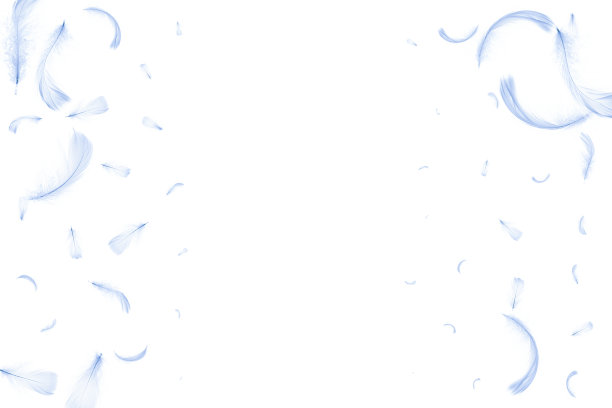 羽毛的纹理。在图案摄影中，自然抽象鸟类羽毛特写孤立在白色背景上。迷人的复杂的空气艺术形象孤立在白色。图片下载