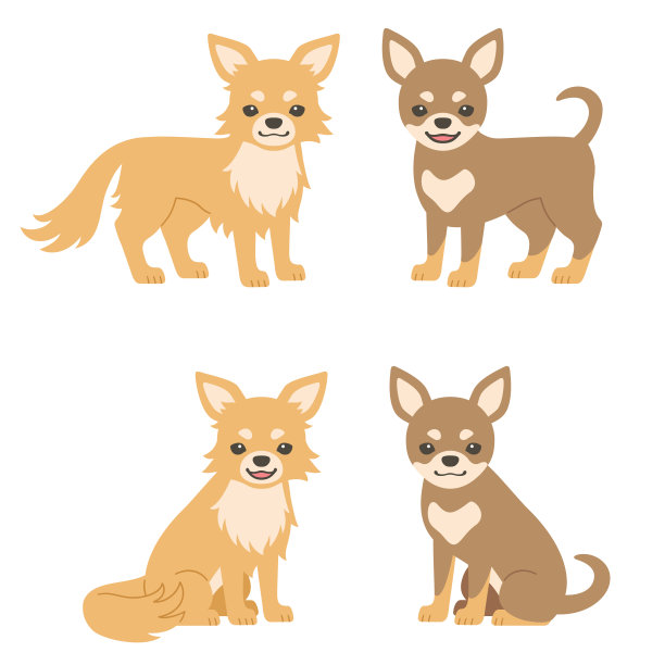 插图一套吉娃娃狗图片下载