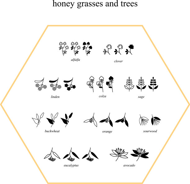 蜂蜜花和树图标与标题图片下载