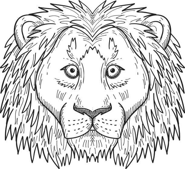 胆怯的狮子头，害怕的狮子正面观黑图片下载