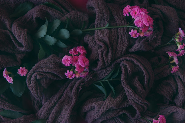 抽象的背景。动机和灵感。背景粉红色的花和轻织物在花卉安排。一束紫色的嚏根草花和桉树叶，在深色的背景上。低调。从以上观点。图片下载
