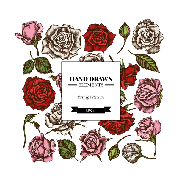 广场花卉设计与彩色玫瑰图片下载