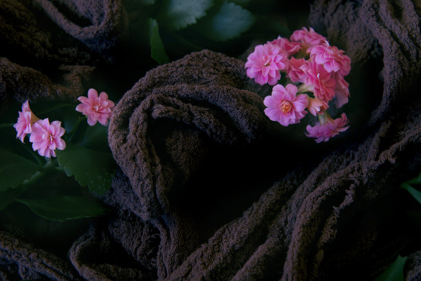 动机和灵感。预示着春天的来临和生命中新的感觉。背景粉红色的花和轻织物在花卉安排。花和叶子在一个黑暗的背景。低调。图片下载