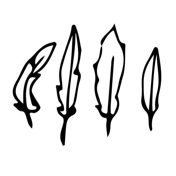 设置手绘羽毛涂鸦元素线图片下载