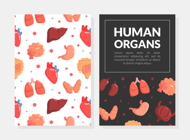 人体器官医学名片图片下载