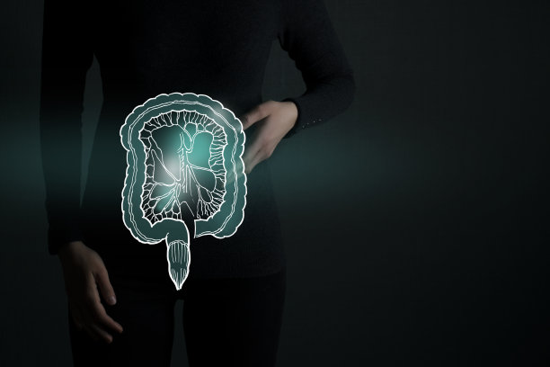 突出肠道器官，低调说明。深绿色背景下的女人身体。图片下载