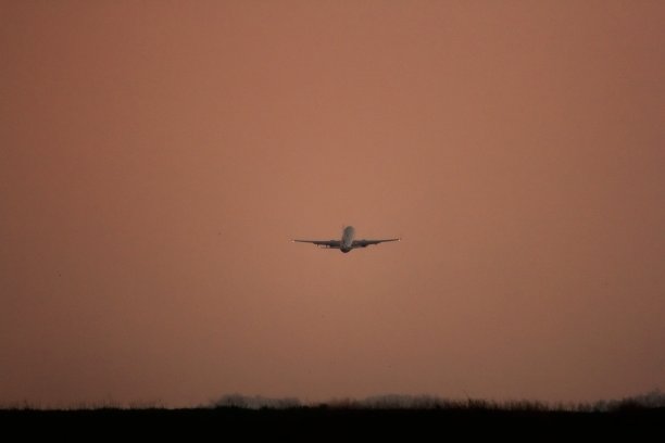 他们出发了图片下载