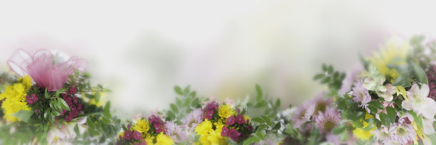 粉红色的丝带，吉利花，黄色的菊花，白色背景上的白色百合。图片下载