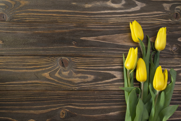 五只黄色的郁金香在棕色的木质背景上，俯视图图片下载