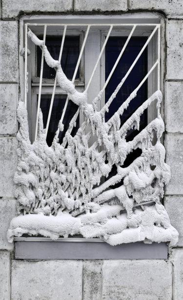 的窗口。图片下载