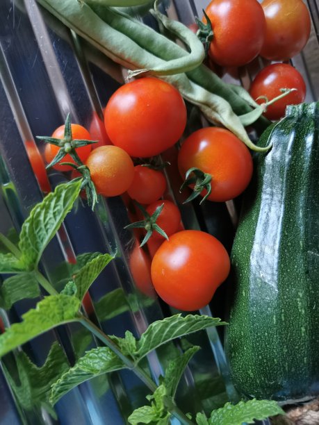 自己种植蔬菜图片下载