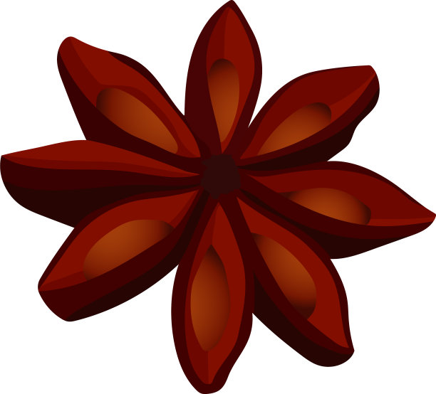 八角茴香图片下载