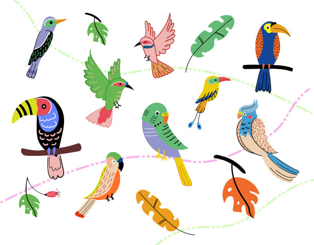 异国情调的鹦鹉坐在早午餐的载体上图片下载