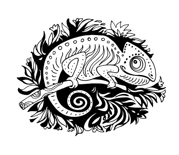 涂鸦风格的黑色和白色华丽的变色龙孤立在白色。图片下载