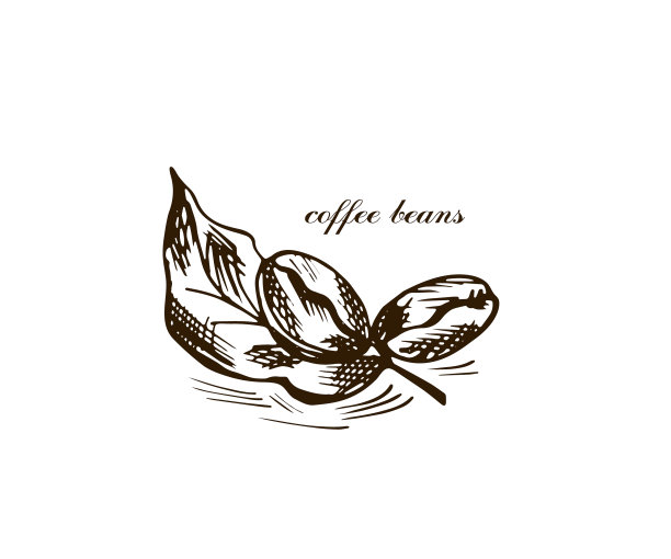 手绘风格的咖啡豆图片下载
