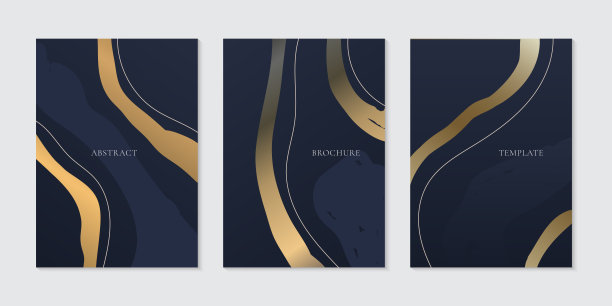 一套小册子模板典雅抽象金色曲线线在深蓝色的背景图片下载