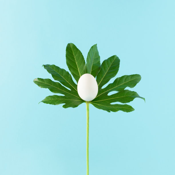 医用防护口罩在明亮的蓝色背景下的阳光阴影树叶之间。创新的冠状病毒预防概念。最小的度假的主意。图片下载