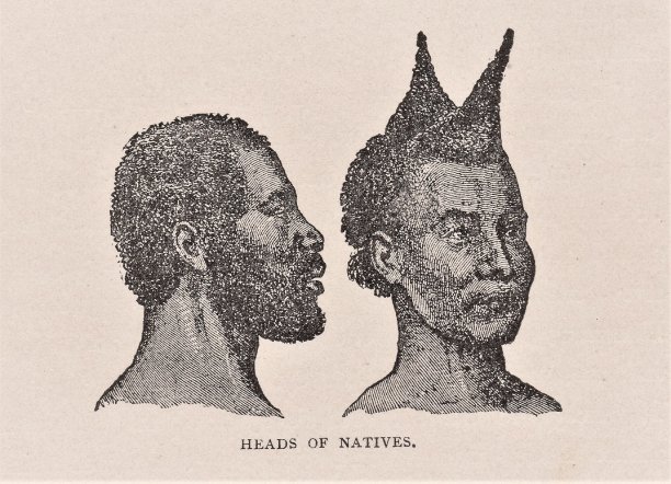 19世纪非洲的非洲人图片下载