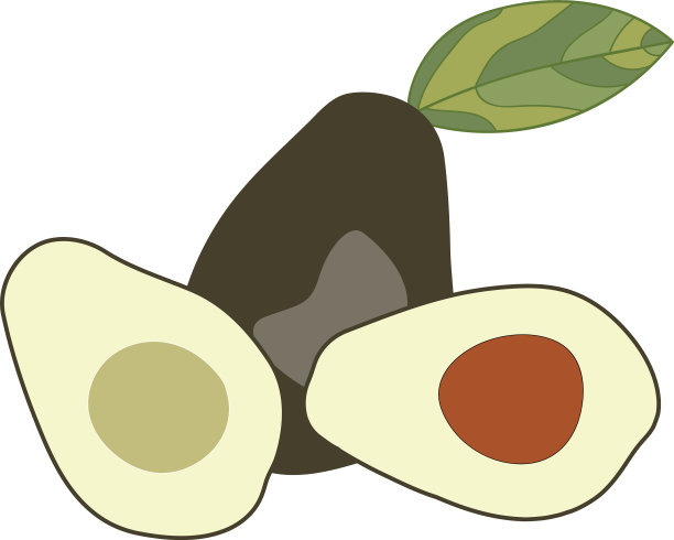 鳄梨组图片下载