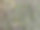 微距照片绿色干燥和切成小块的山萝卜叶撕成非常近的细节俯视图食物背景图片下载