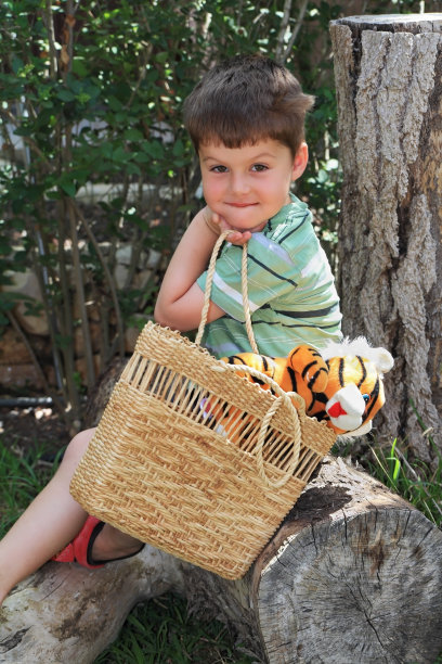 可爱的四岁男孩，带着一只毛茸茸的小老虎。图片下载