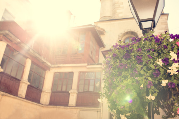 在利沃夫的一个老住宅建筑的庭院里的花坛。的塑身效果图片下载