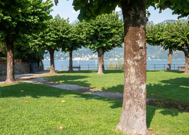 意大利科莫湖贝拉吉奥的蓬塔斯帕蒂万托图片下载